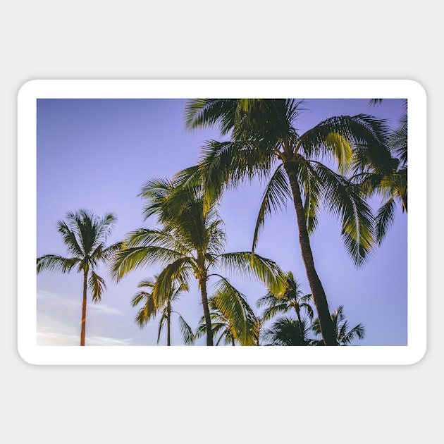 Tropical Palm Trees Sticker by NewburyBoutique
